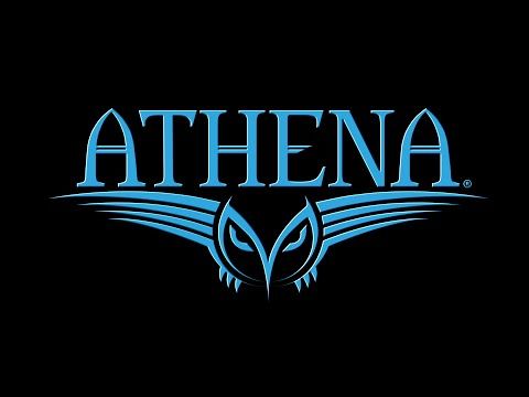 Athena ATHC01 2x2 Hard Case - image 4