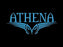 Athena ATHC02 2x2 Hard Case - image 4