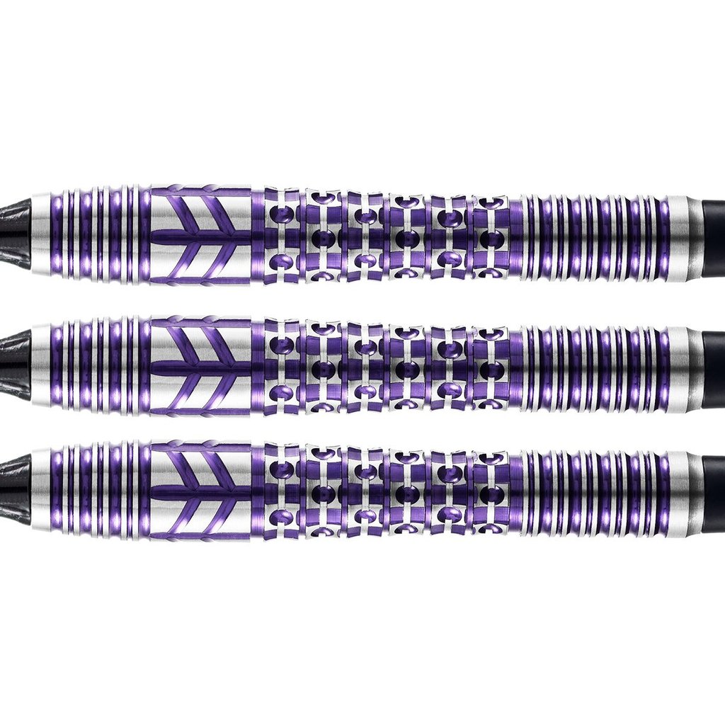 Viking Shield-Maiden Soft Tip Dart SET-90% Tungsten 18gm